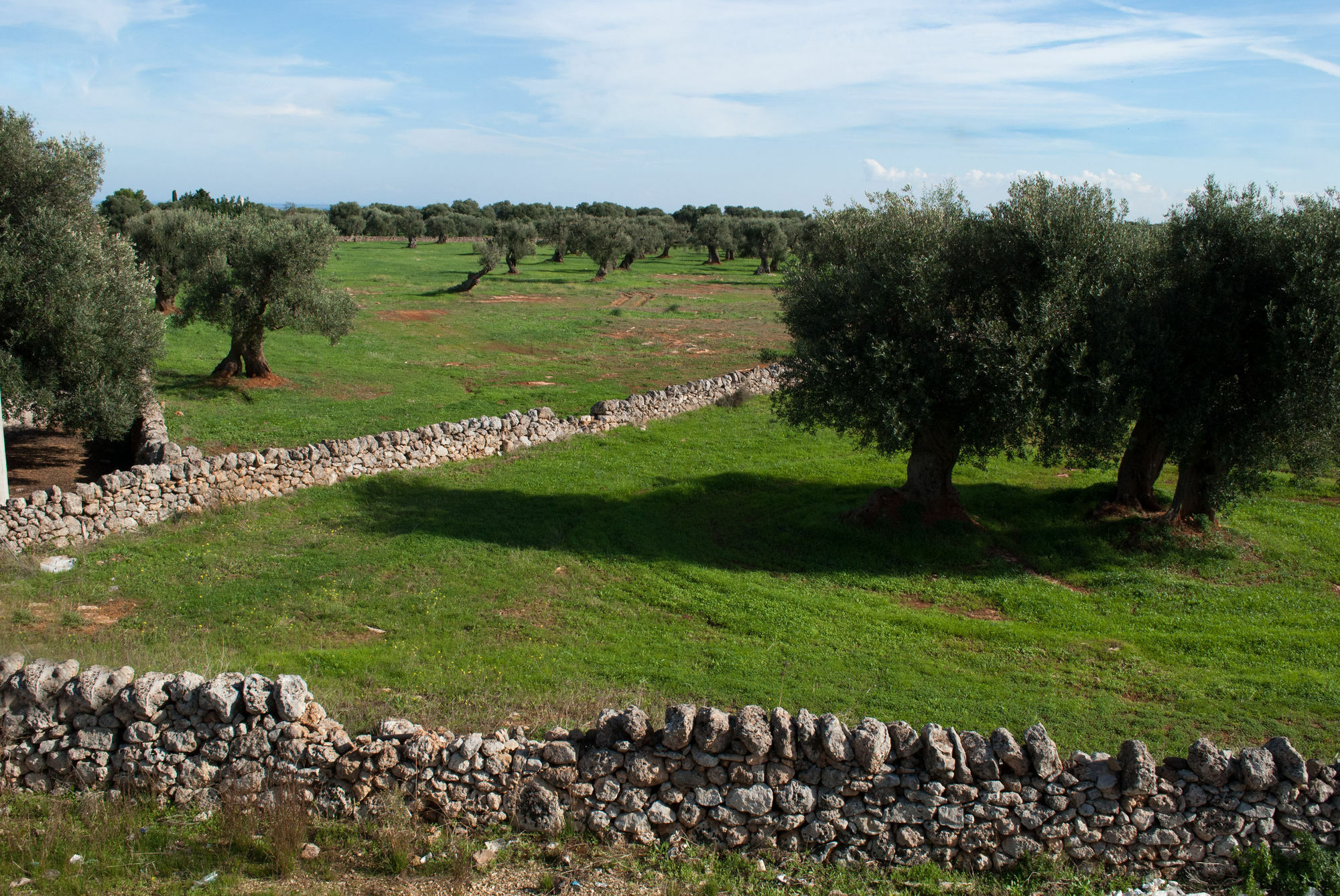 Masseria Lama D'Impisa Fasano Exterior foto